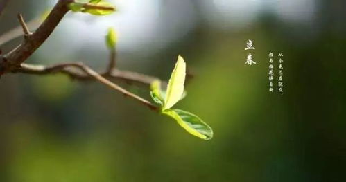 春回大地萬物復蘇，感恩一路有您相伴——第四屆江蘇優質農產品（南京）展銷會圓滿落幕