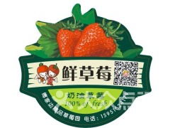 南京傅家邊老朱精品草莓園 采摘、農家樂與田園時光的完美攻略