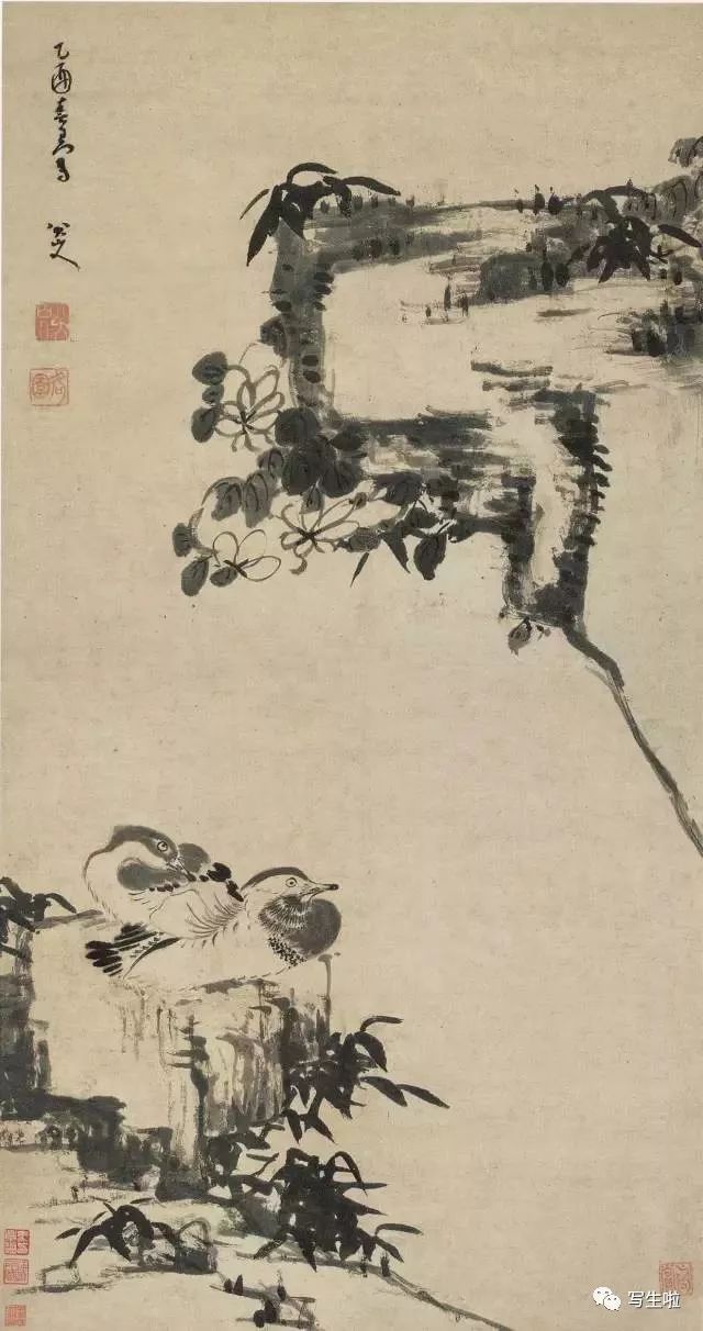 憑一“白眼”獨步古今——八大山人水墨畫里的南京竹石